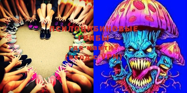 2c-b Медвежьегорск